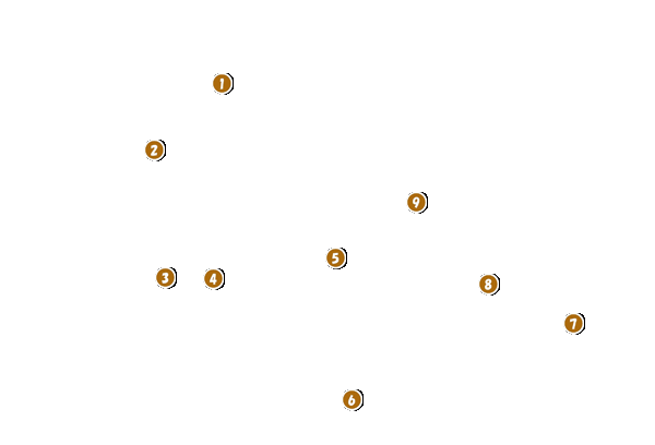 コース全体俯瞰図