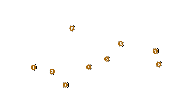 コース全体俯瞰図