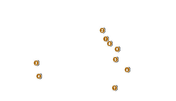 コース全体俯瞰図