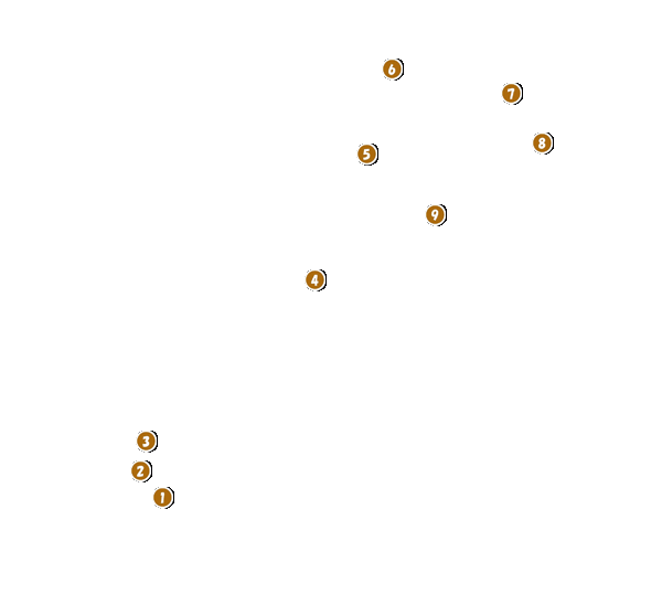 コース全体俯瞰図