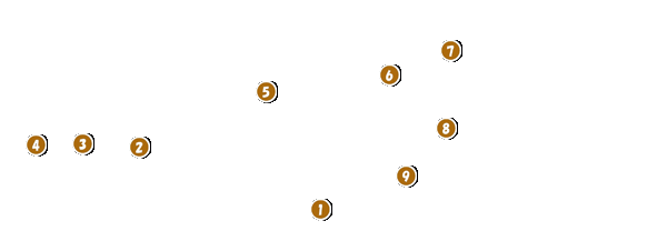 コース全体俯瞰図