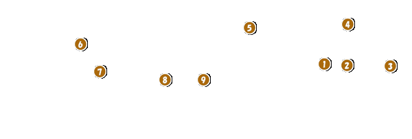 コース全体俯瞰図