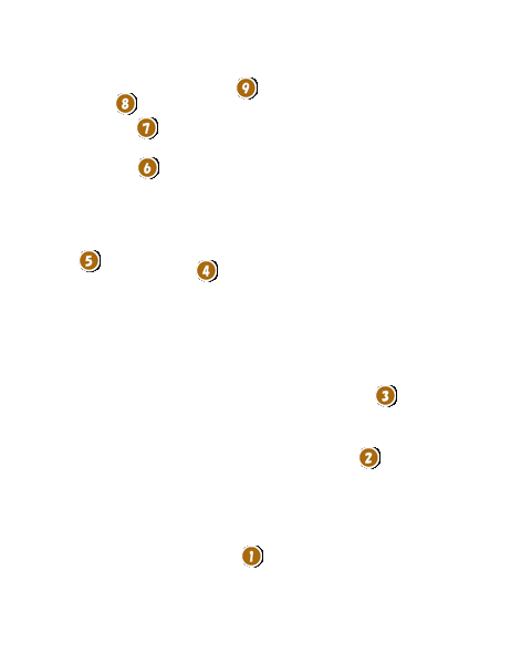 コース全体俯瞰図