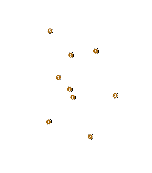 コース全体俯瞰図