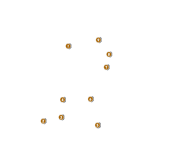 コース全体俯瞰図