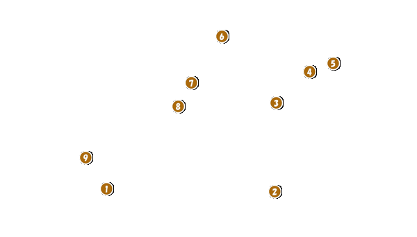 コース全体俯瞰図