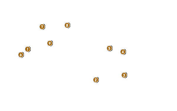 コース全体俯瞰図