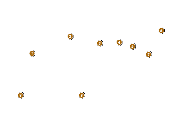 コース全体俯瞰図