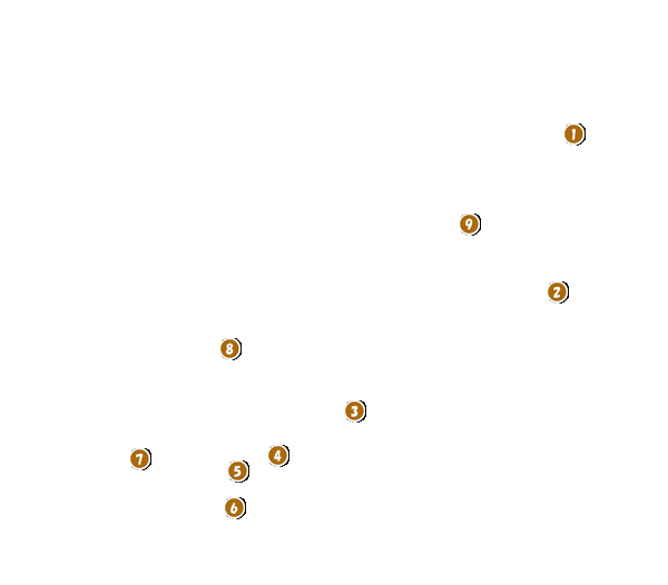 コース全体俯瞰図