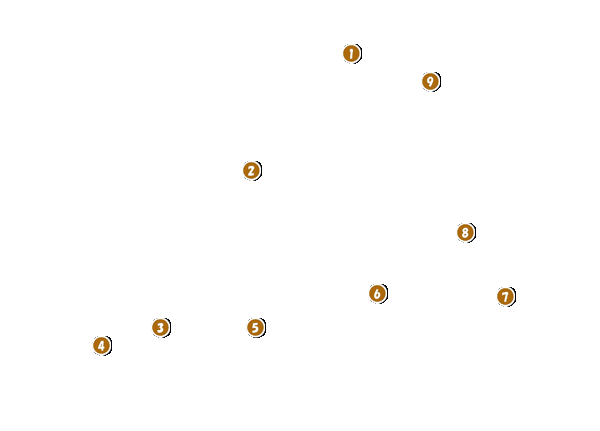 コース全体俯瞰図