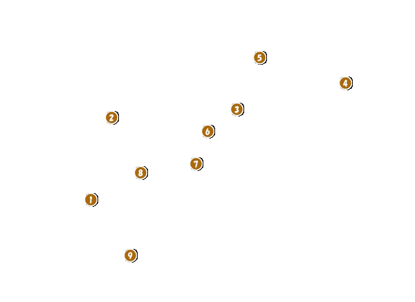 コース全体俯瞰図