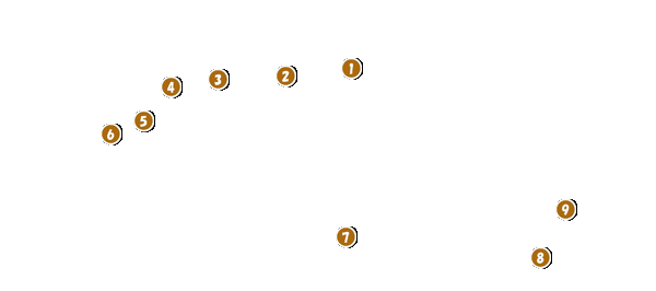 コース全体俯瞰図