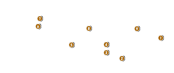 コース全体俯瞰図