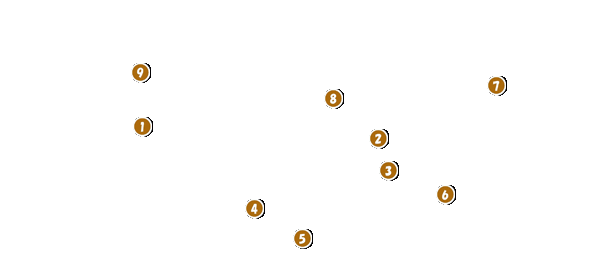 コース全体俯瞰図