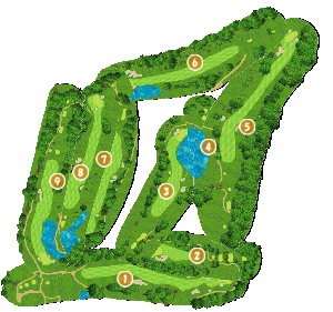 コース全体俯瞰図