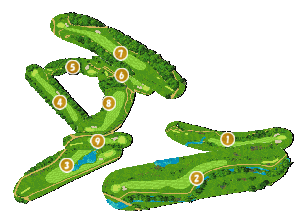 コース全体俯瞰図