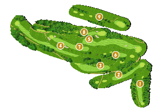 コース全体俯瞰図