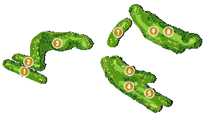 コース全体俯瞰図