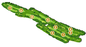 コース全体俯瞰図