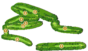 コース全体俯瞰図