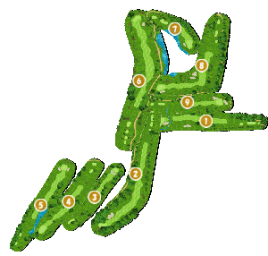 コース全体俯瞰図