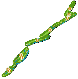 コース全体俯瞰図