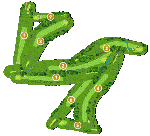 コース全体俯瞰図