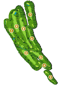 コース全体俯瞰図