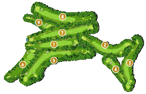 コース全体俯瞰図