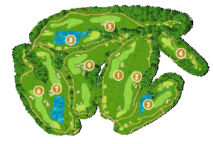 コース全体俯瞰図