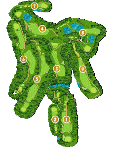 コース全体俯瞰図