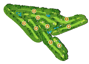 コース全体俯瞰図