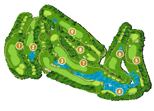 コース全体俯瞰図