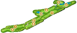 コース全体俯瞰図