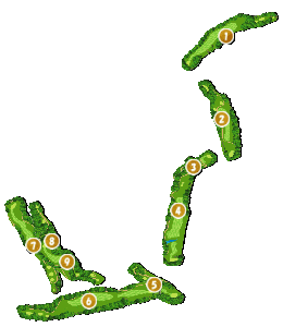 コース全体俯瞰図