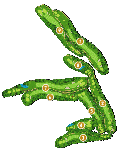 コース全体俯瞰図