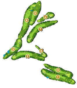 コース全体俯瞰図