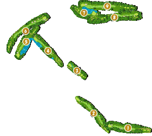 コース全体俯瞰図