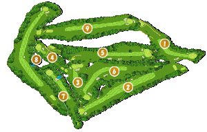 コース全体俯瞰図