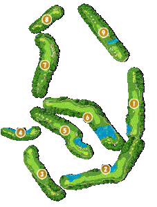 コース全体俯瞰図