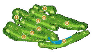 コース全体俯瞰図