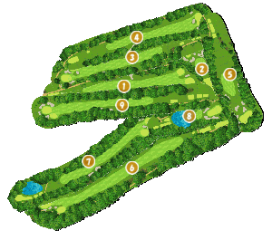 コース全体俯瞰図