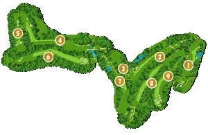 コース全体俯瞰図