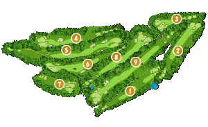 コース全体俯瞰図