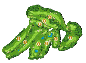 コース全体俯瞰図