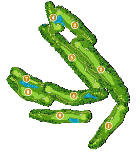 コース全体俯瞰図