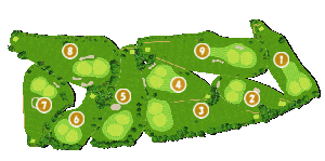 コース全体俯瞰図