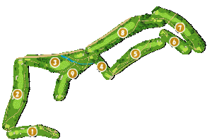 コース全体俯瞰図