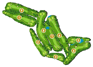 コース全体俯瞰図