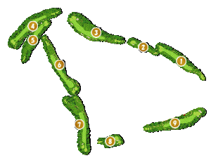 コース全体俯瞰図